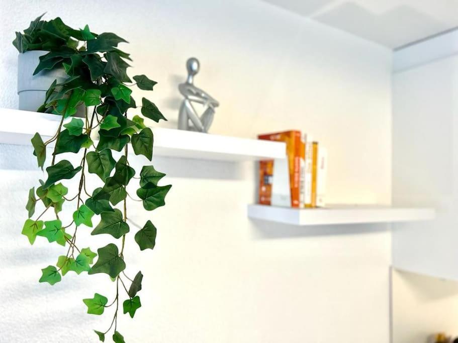 Casa Ambizione Apartment Dietikon Ngoại thất bức ảnh