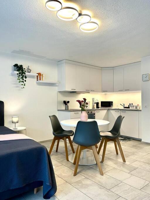 Casa Ambizione Apartment Dietikon Ngoại thất bức ảnh