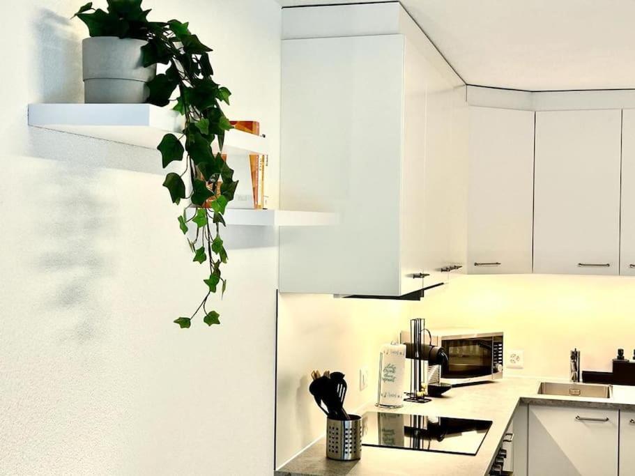 Casa Ambizione Apartment Dietikon Ngoại thất bức ảnh
